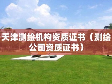天津测绘机构资质证书（测绘公司资质证书）