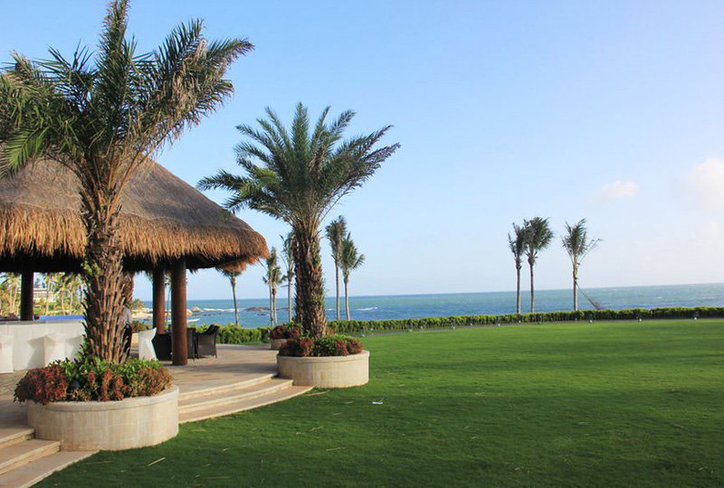 的管理职责是什么？