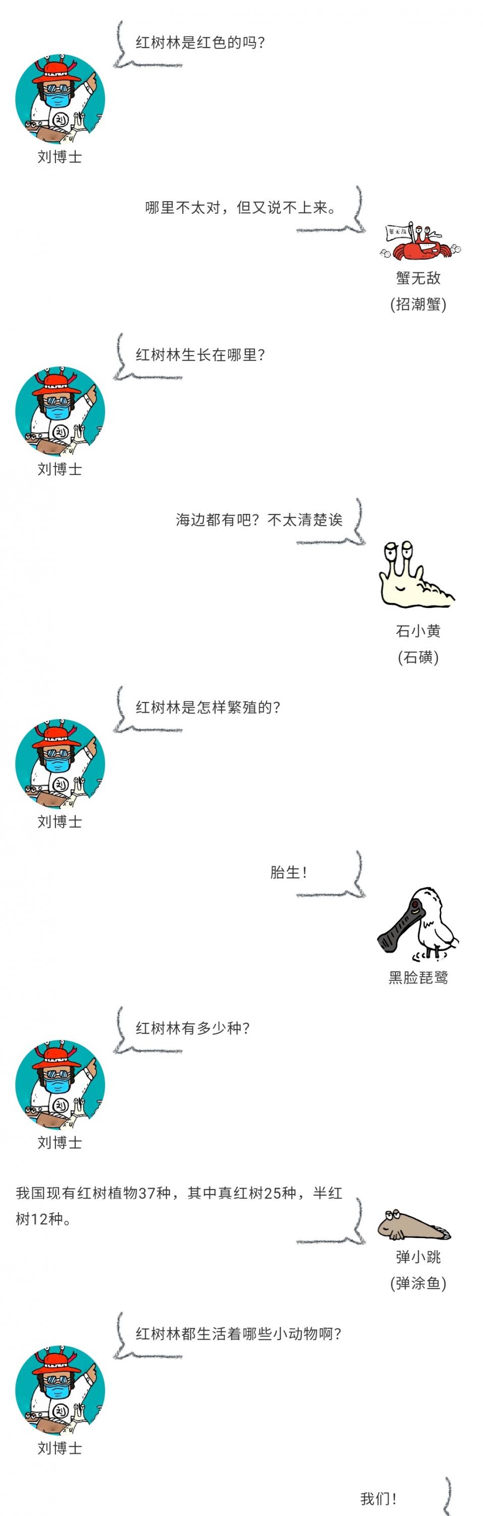 解密 | 红树林的“生态密码”