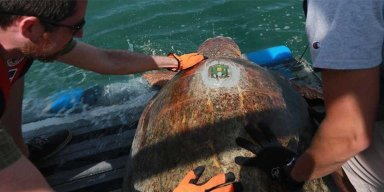 卫星如何用于观测海洋？