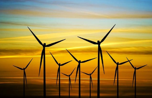 电力设施许可证人员和设备标准变更，如何填报？