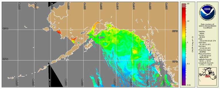卫星如何用于观测海洋？