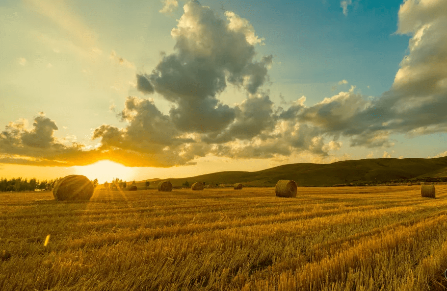 丙级乙级甲级标准