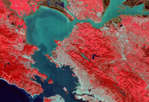 环境遥感：地方和全球环境问题