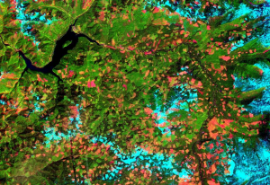 环境遥感：地方和全球环境问题