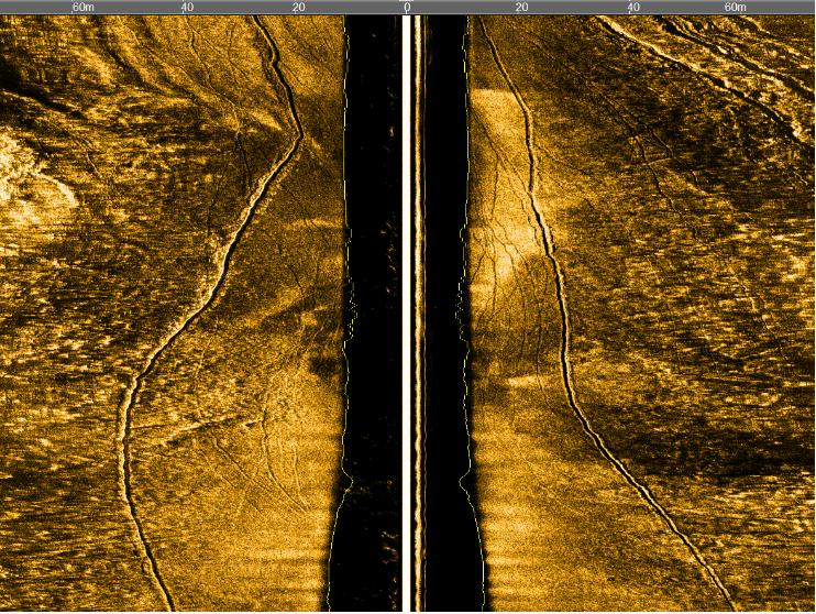国产海洋地球物理设备简述----侧扫声纳