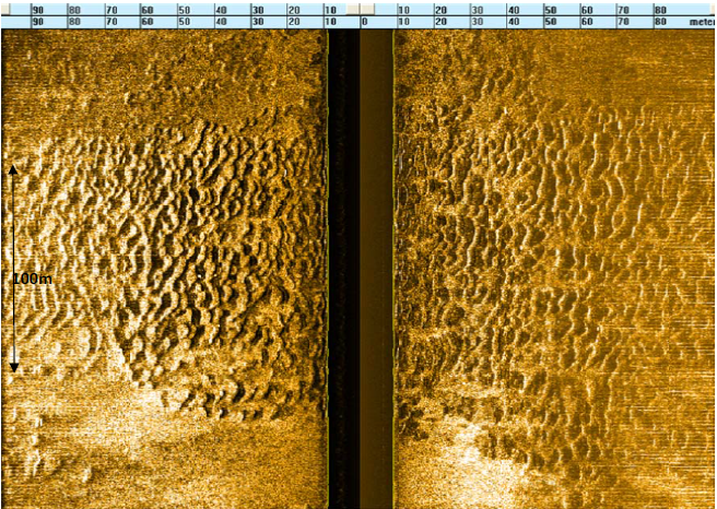 国产海洋地球物理设备简述----侧扫声纳