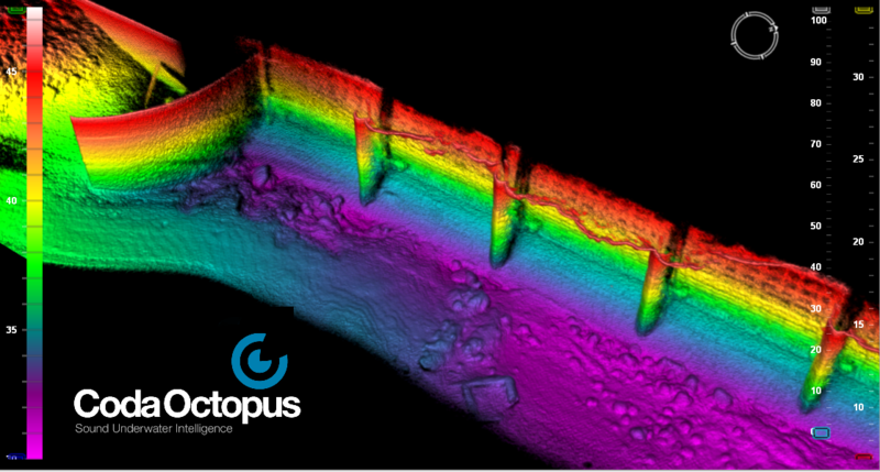 Coda 公司Echoscope三维图像声纳视频系列