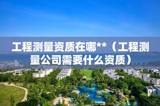 工程测量资质在哪**（工程测量公司需要什么资质）