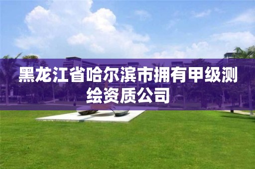 黑龙江省哈尔滨市拥有甲级测绘资质公司