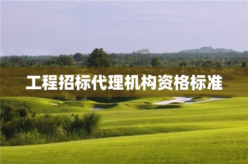 工程招标代理机构资格标准