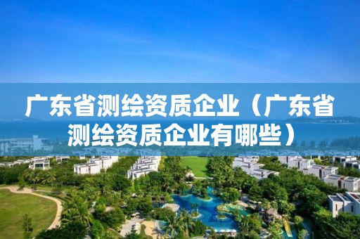 广东省测绘资质企业（广东省测绘资质企业有哪些）
