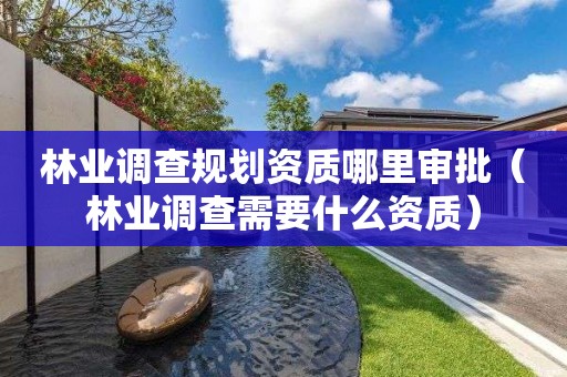 林业调查规划资质哪里审批（林业调查需要什么资质）