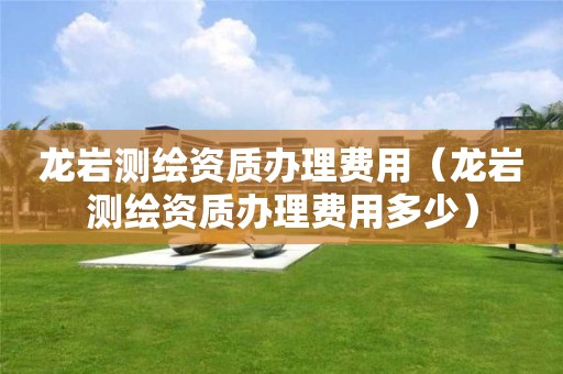 龙岩测绘资质办理费用(龙岩测绘资质办理费用多少)