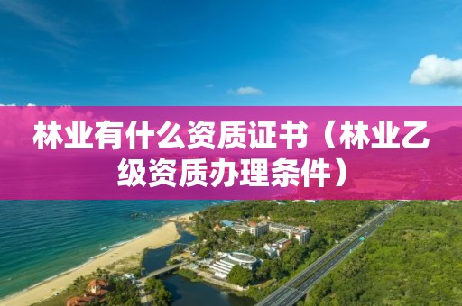 林业有什么资质证书（林业乙级资质办理条件）