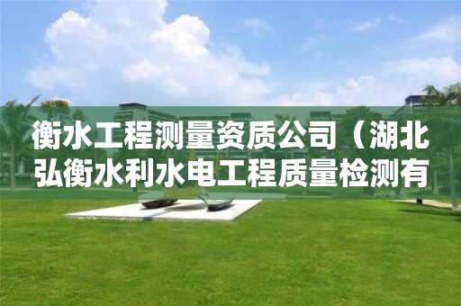 衡水工程测量资质公司（湖北弘衡水利水电工程质量检测有限公司）