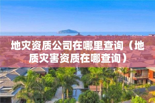 公司在哪里查询（地质灾害资质在哪查询）