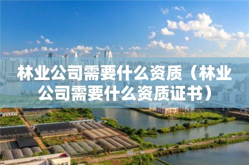 林业公司需要什么资质（林业公司需要什么资质证书）