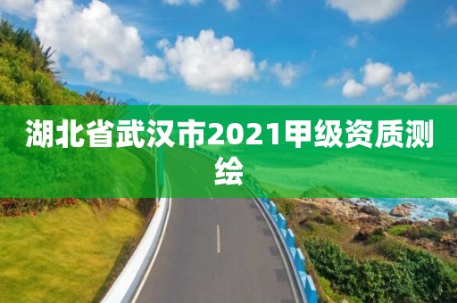 湖北省武汉市2021甲级资质测绘