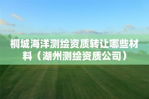 桐城海洋测绘资质转让哪些材料（湖州测绘资质公司）