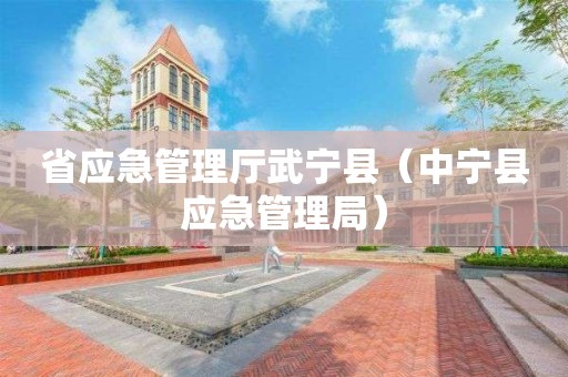 省应急管理厅武宁县（中宁县应急管理局）