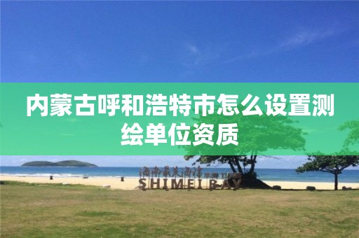 内蒙古呼和浩特市怎么设置测绘单位资质 内蒙古呼和浩特市怎么设置测绘单位资质