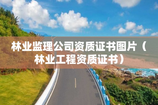 林业监理公司资质证书图片（林业工程资质证书）