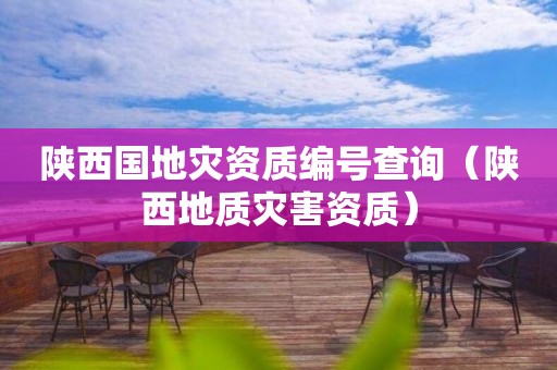 陕西国编号查询（陕西地质灾害资质）