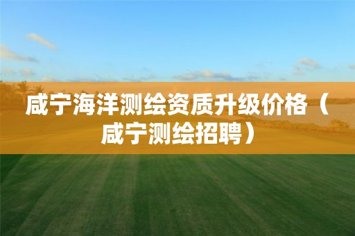 咸宁海洋测绘资质升级价格（咸宁测绘招聘）