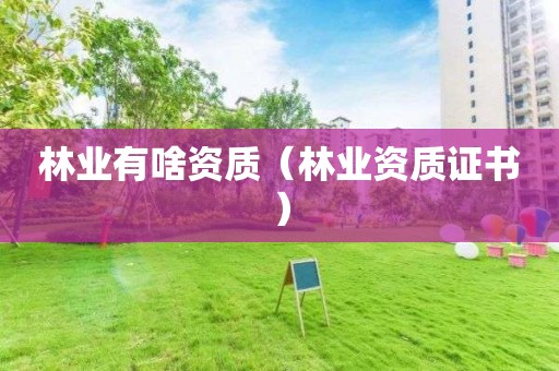 林业有啥资质（证书）