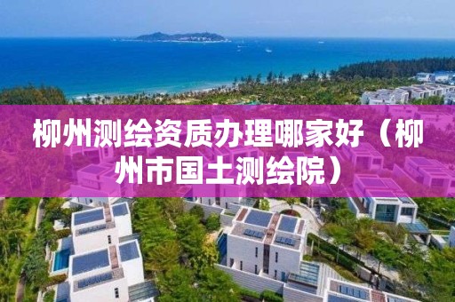 柳州测绘资质办理哪家好(柳州市国土测绘院)