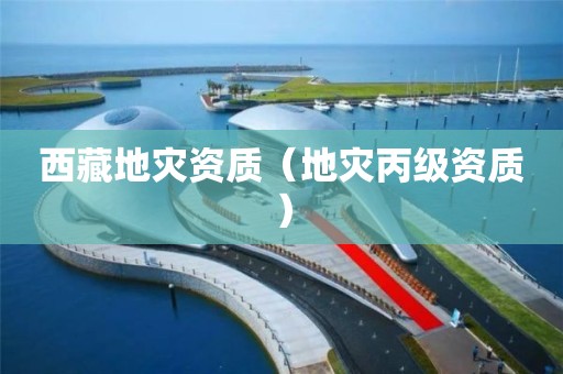 西藏（地灾丙级资质）