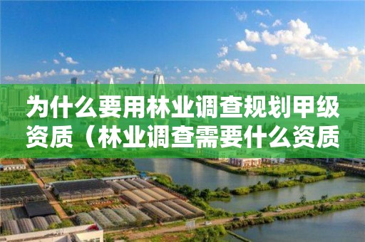 为什么要用林业调查规划甲级资质（林业调查需要什么资质）