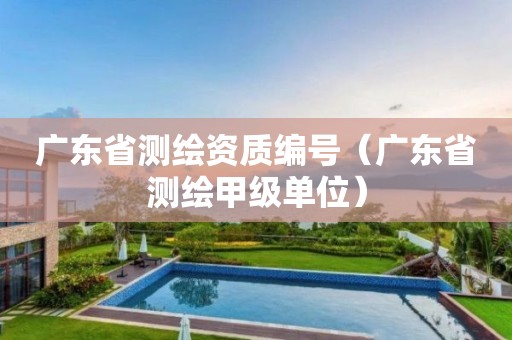 广东省测绘资质编号(广东省测绘甲级单位)