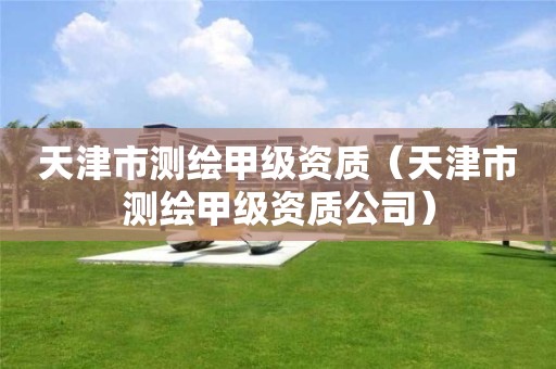 天津市测绘甲级资质(天津市测绘甲级资质公司)