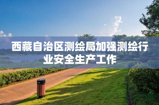 西藏自治区测绘局加强测绘行业安全生产工作