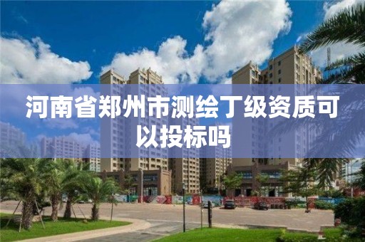 河南省郑州市测绘丁级资质可以投标吗 河南省郑州市测绘丁级资质可以投标吗