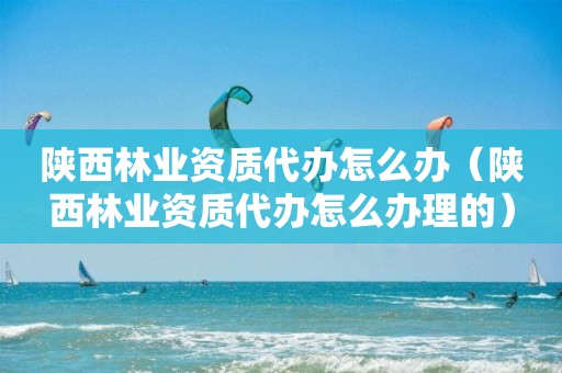 陕西代办怎么办理的）