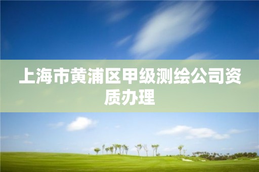 上海市黄浦区甲级测绘公司资质办理
