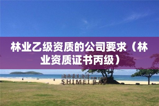 林业乙级资质的公司要求（证书丙级）