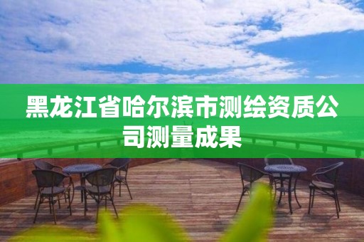 黑龙江省哈尔滨市测绘资质公司测量成果