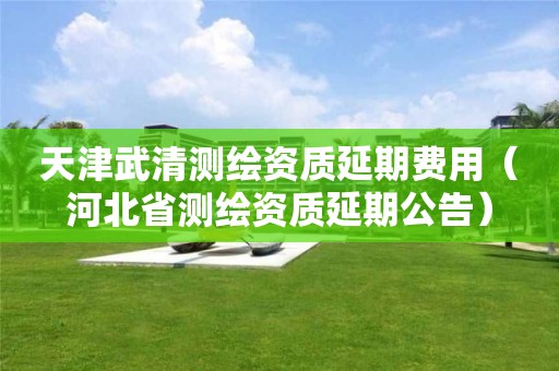 天津武清测绘资质延期费用（河北省测绘资质延期公告）