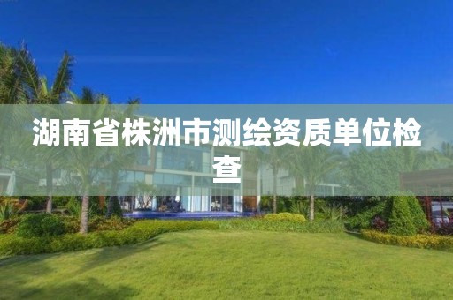 湖南省株洲市测绘资质单位检查