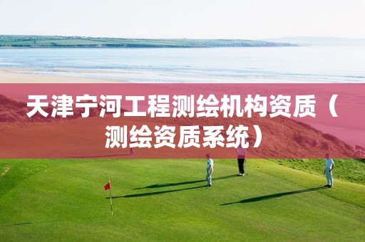 天津宁河工程测绘机构资质（测绘资质系统）