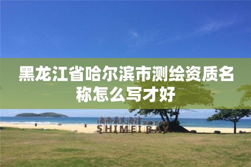 黑龙江省哈尔滨市测绘资质名称怎么写才好