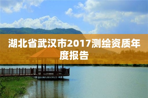 湖北省武汉市2017测绘资质年度报告