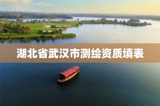 湖北省武汉市测绘资质填表