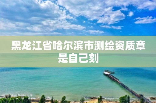 黑龙江省哈尔滨市测绘资质章是自己刻