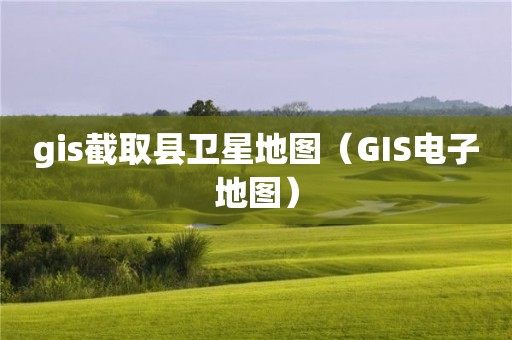 gis截取县卫星地图（GIS电子地图）