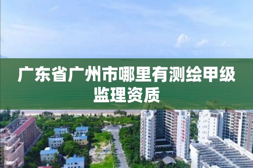 广东省广州市哪里有测绘甲级监理资质
